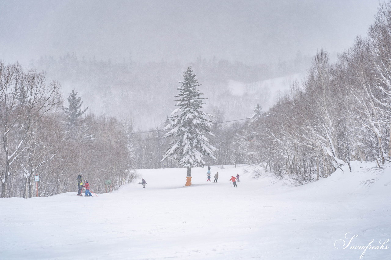 札幌国際スキー場　街は雨でも、山は雪！広々ゲレンデに思う存分シュプールを描こう(^^)/